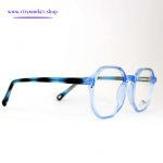 جدیدترین مدل عینک طبی زنانه 2022