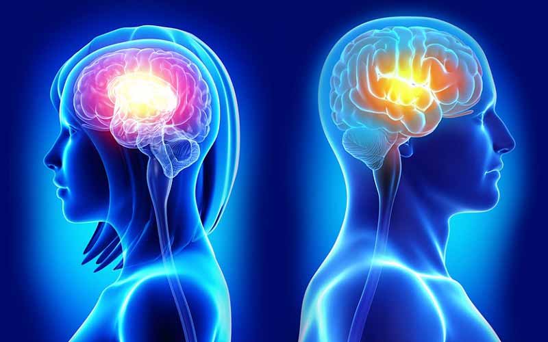 مغز مردان و زنان به طور متفاوتی سیم کشی شده است